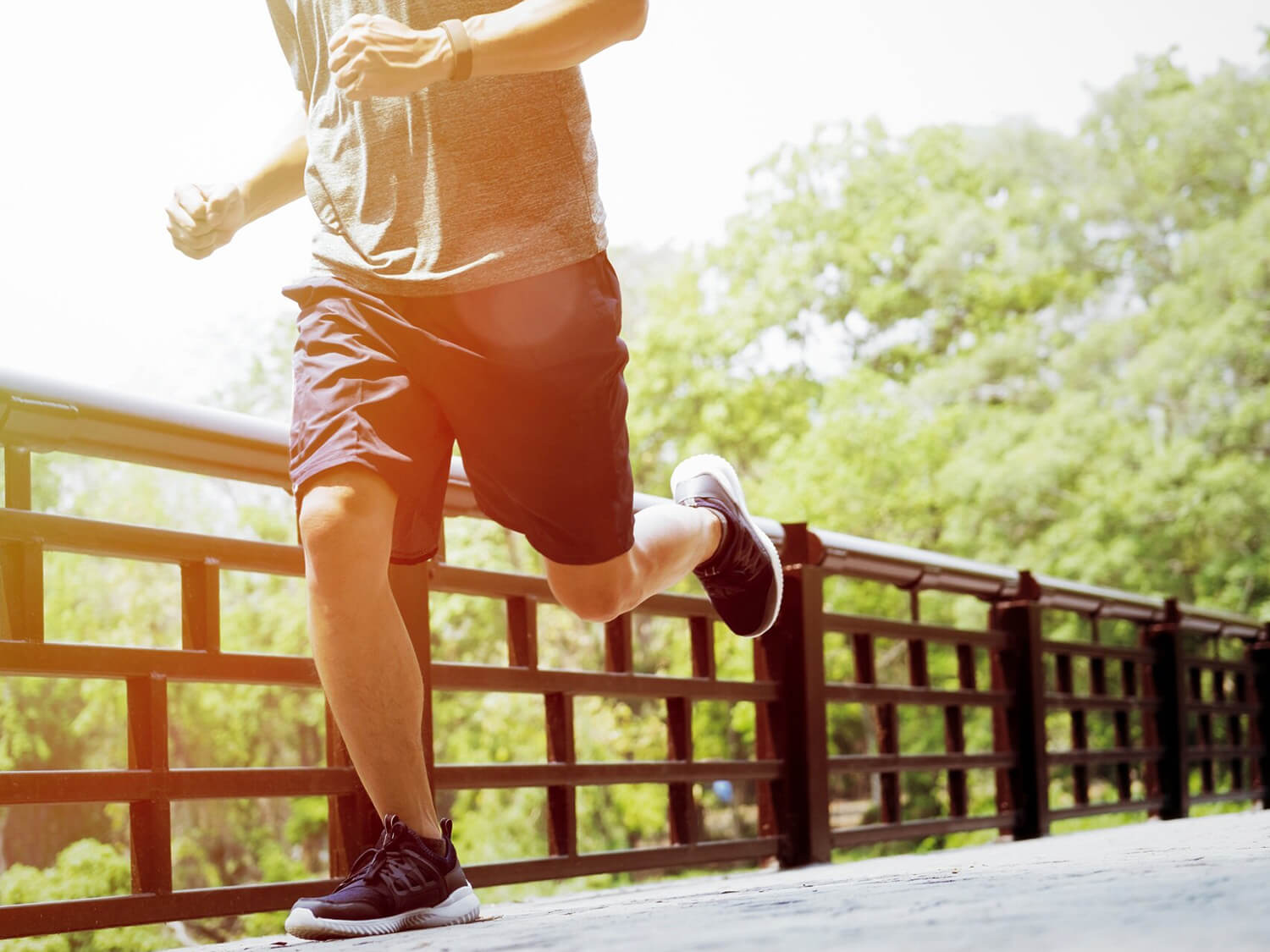 The website of Shengruicheng is now live